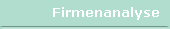 Firmenanalyse